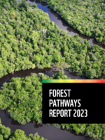 Forest Pathways Report 2023 Brochure