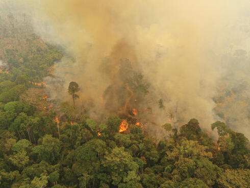 Ariel view of forest fire line with smoke
