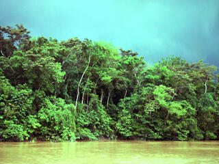 Borneo Malaysia