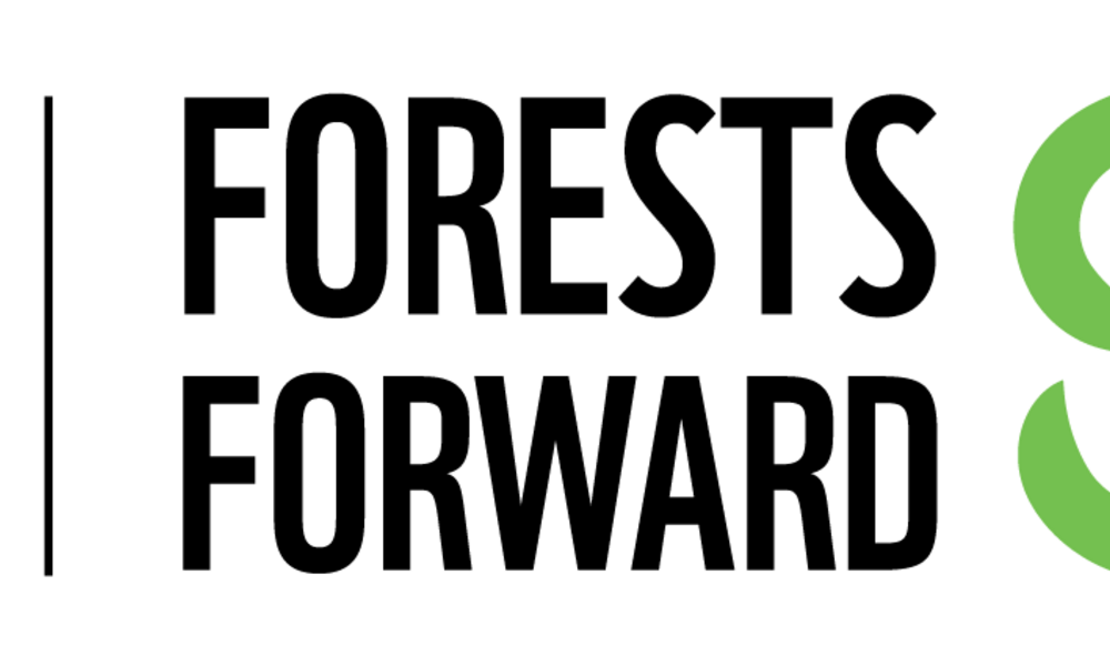 forests forward graphic logo