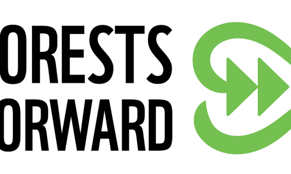 forests forward graphic logo 