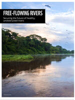 Free Flowing Rivers Fact Sheet Brochure