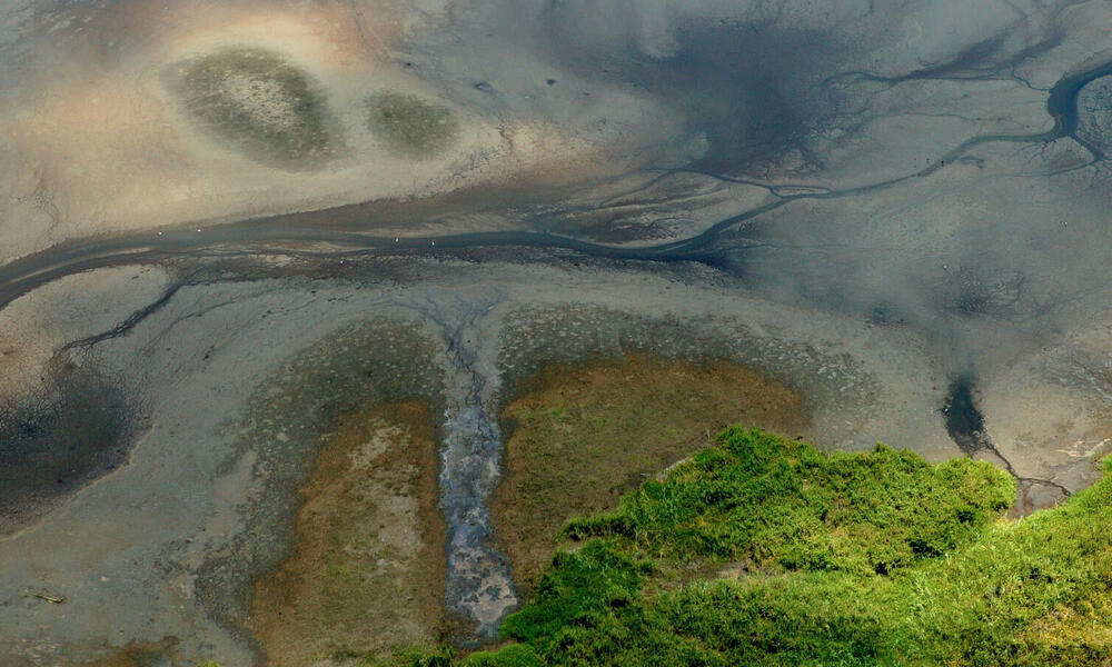 freshwater from above