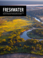 Freshwater Factsheet Brochure