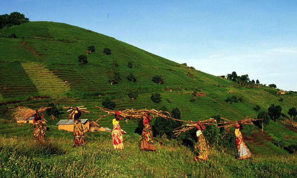 Congo basin, Rainforest, Wildlife & Rivers