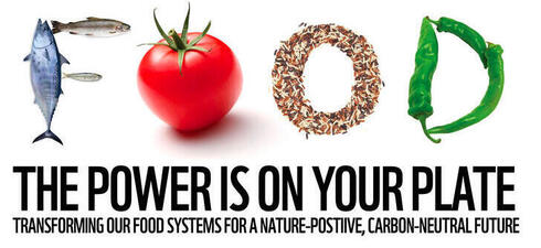 Food: The Power is on your Plate