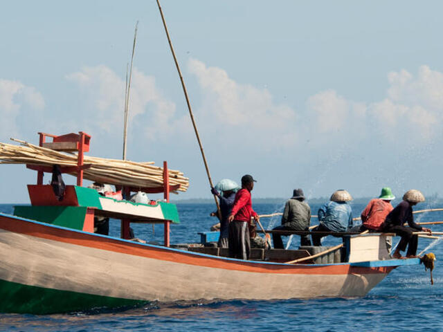 Funae fishermen travelling to find skipjack tuna to catch near Manado Tua using anchovies as live bait.