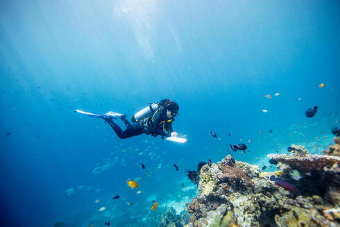 Gabby Ahmadia, senior marine scientist at WWF, surveys a reef in the Selat Dampier MPA, Raja Ampat, West Papua, Indonesia