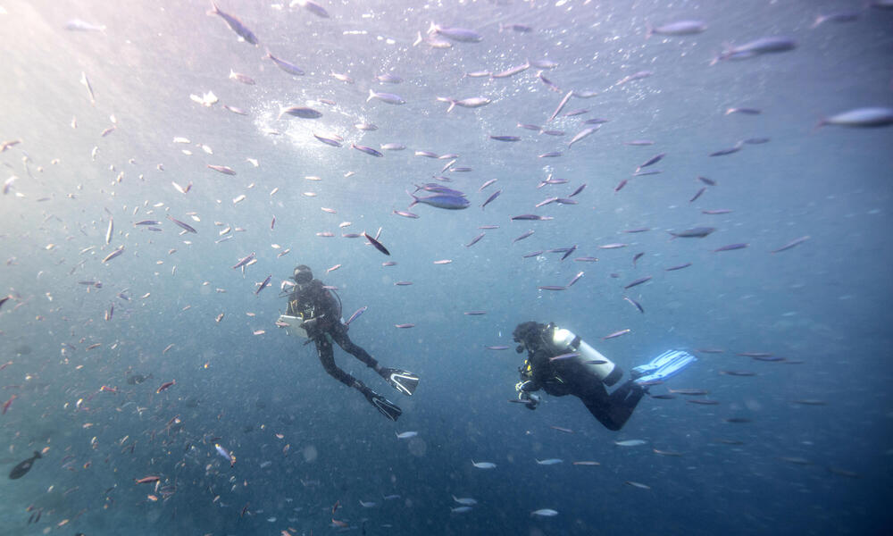 Gabby and Lius Surveying Fish