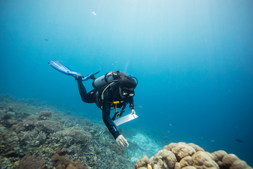 Gabby Ahmadia, senior marine scientist at WWF, surveys a reef in the Selat Dampier MPA, Raja Ampat, West Papua, Indonesia.