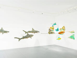 Sculptures floating in gallery