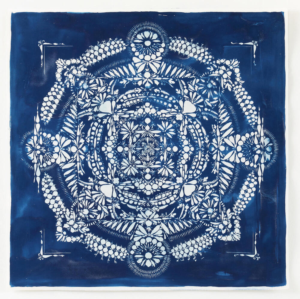 Leaves and petals arranged in blue mandala pattern