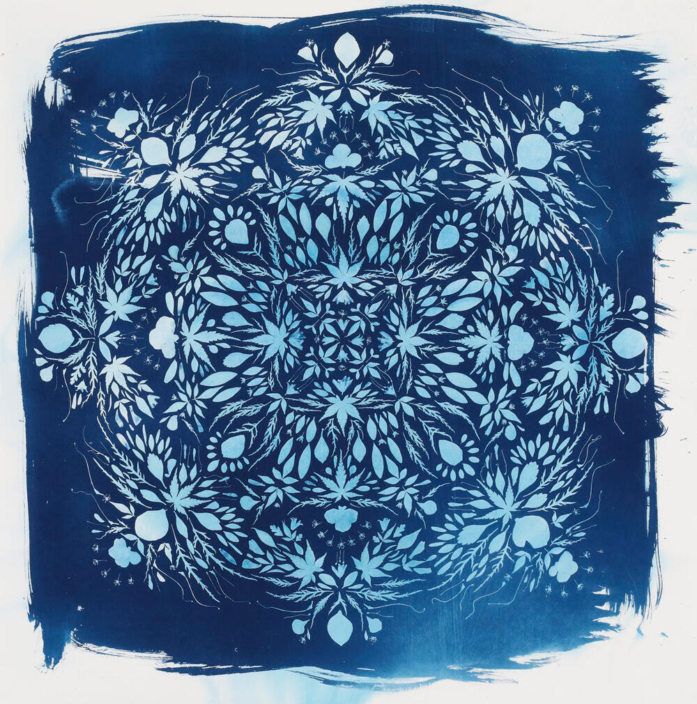 Leaves and petals arranged in blue mandala pattern