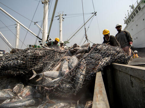 Ghana Tuna Fisheries