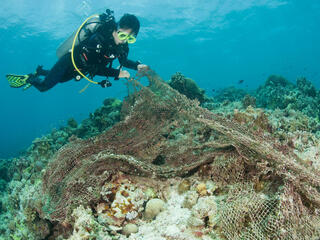 Diver removing ghost net from coral reef