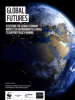 Global Futures: Assessing the global economic impacts of environmental change to support policy-making Brochure