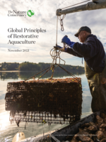 Global Principles  of Restorative  Aquaculture Brochure