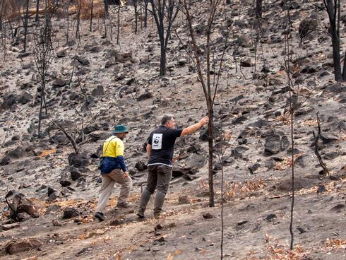 WWF employee surveys fire damage to cockatoo habitat