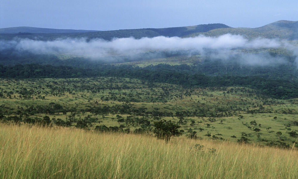 View of Mpassa project area in Gabon