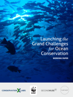 Grand Challenges for Oceans Brochure