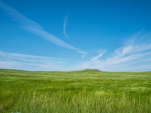 An expanse of grassland on a sunny day