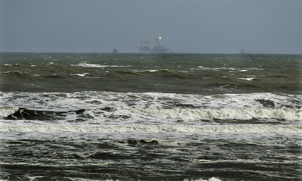 Gray Whales are threatened by oil and gas development