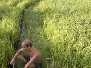 Agricultural Practices in the Greater Mekong