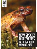 New Species Discoveries in the Greater Mekong 2020 Brochure