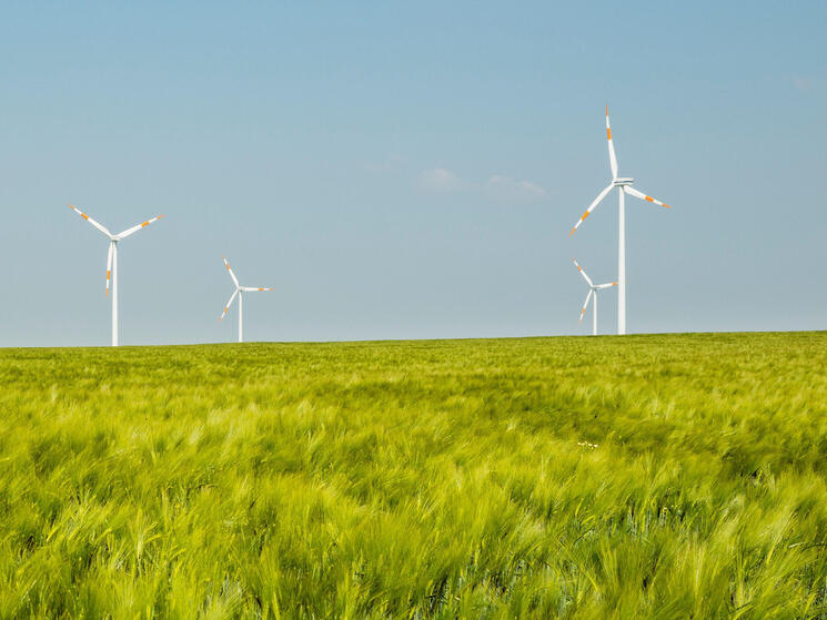 Group of wind turbines, Selfkant, Germany