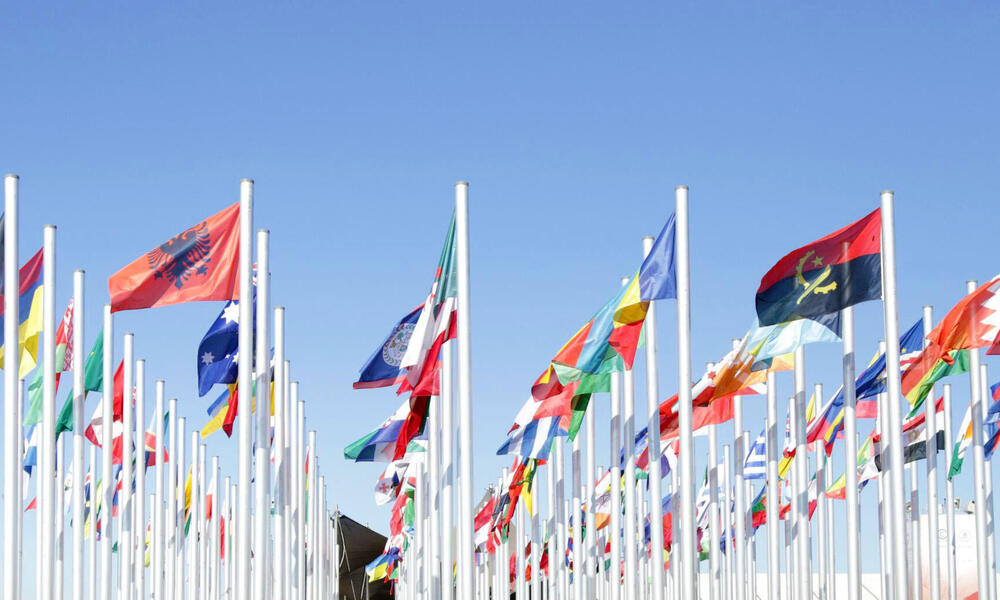 flags outside at COP22
