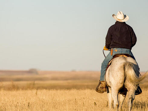 Rancher on a horse in the grasslands