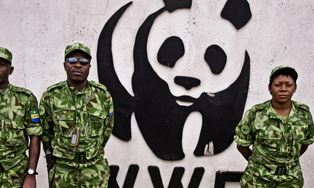Anti-poaching patrol at the WWF-Gabon office