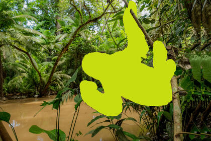 A forest background with a green outline of an animal