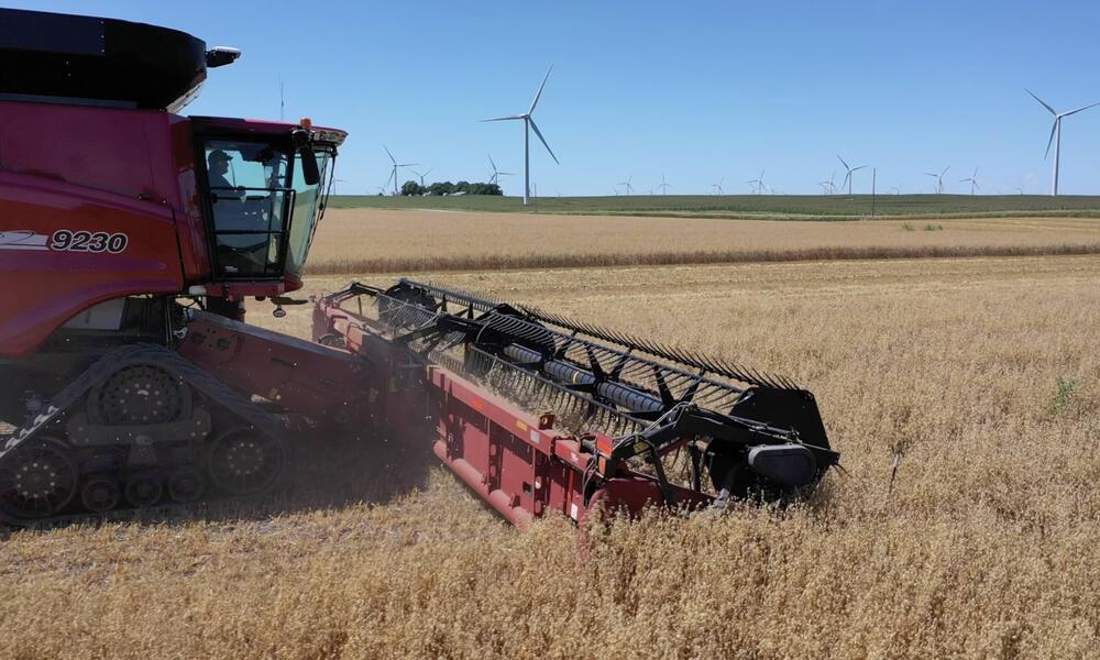 A red harvester rolls through a field with wind turbines in the background on a sunny day