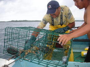 Helping Artisanal Fishermen (c) 