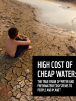 High Cost of Cheap Water: The True Value of Water and Freshwater Ecosystems to People and Planet Brochure