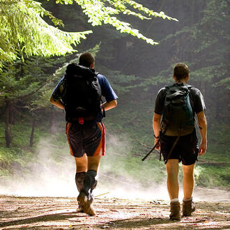Hikers walking