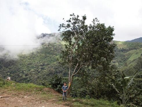A boy from one of the farming communities in the Sierra del Merendón stands near a roadside.