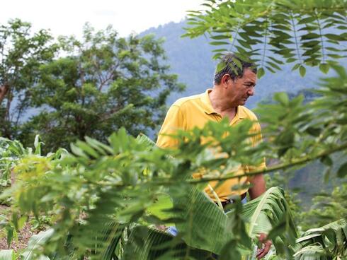 José Vásquez, the director of WWF’s agriculture programs in Mesoamerican Reef catchments, surveys a mountainside farm in the Sierra del Merendón.