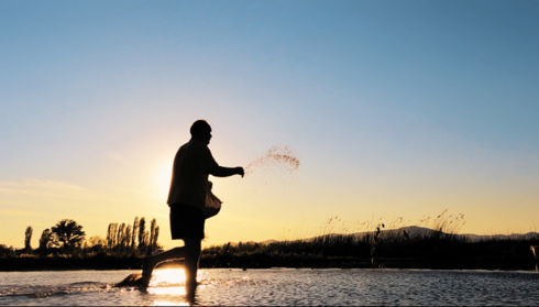 Horizontal screenshot of the opening frame of Codex Planetarius social share video. A fisherman throws fish bait across the water. Their silhouette is against a cloudless sky at dawn or dusk.