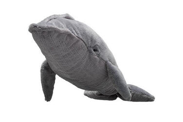 Blue Whale | Species | WWF