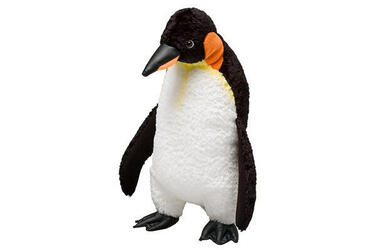 The penguin galapagos how can help we Galapagos Penguins: