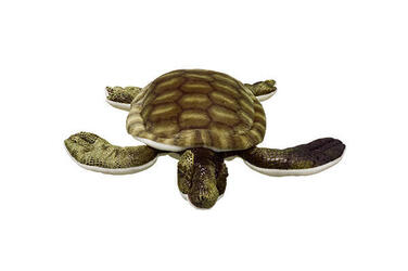 Tortoiseshell: Too Rare to Wear — The State of the World's Sea