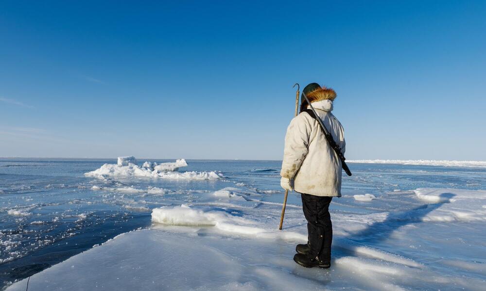 Arctic Community Wildlife Grants Program | Projects | WWF
