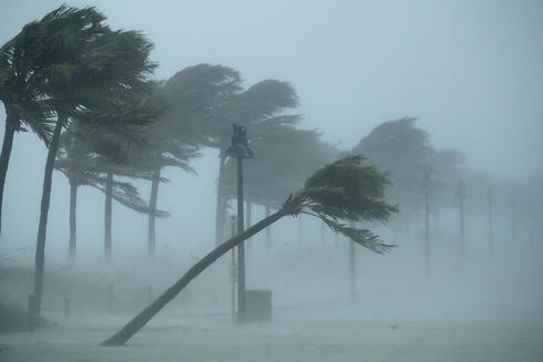 Hurricane pushing over palms