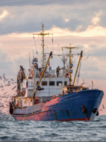 Tools Left Unused to Combat Illegal, Unreported, and Unregulated Fishing Brochure