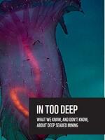 In Too Deep: What We Know and Don’t Know About Deep Seabed Mining Brochure