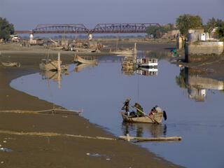 Indus River dolphin pops out of water