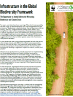 Infrastructure in the Global Biodiversity Framework Brochure