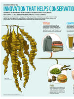 Infographic: Innovation That Helps Conservation Brochure